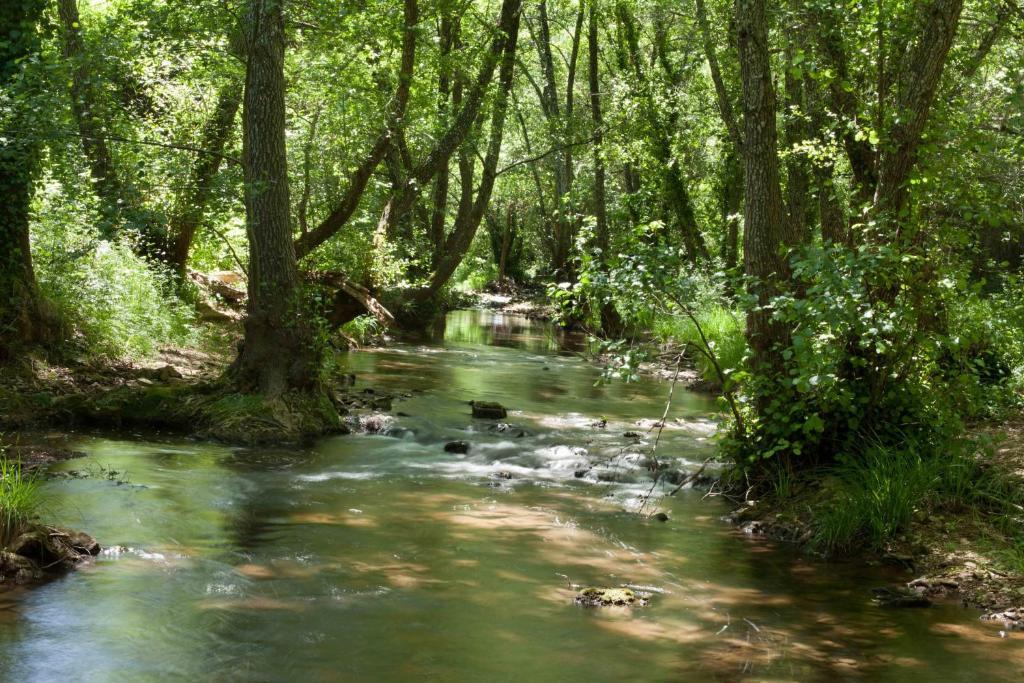 Paraíso del Huéznar Cazalla de la Sierra Chambre photo